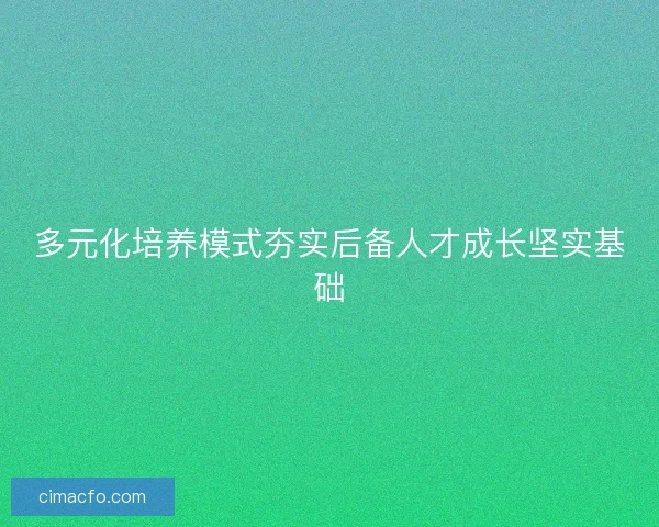 多元化培养模式夯实后备人才成长坚实基础